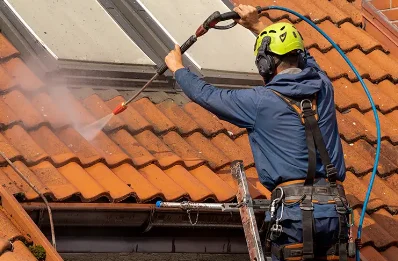 Démoussage et hydrofuge de toiture à Mariac